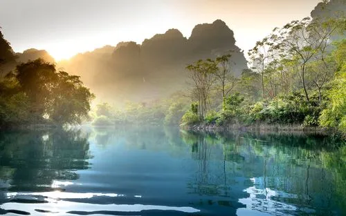 绿色绿色高性能